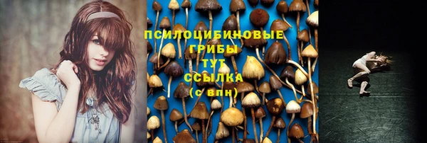 наркотики Инсар